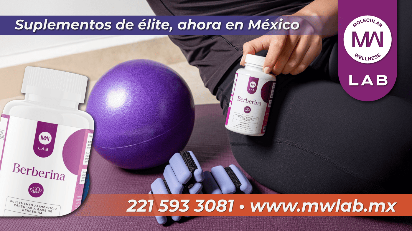 public/img/Archivo actual (1).png