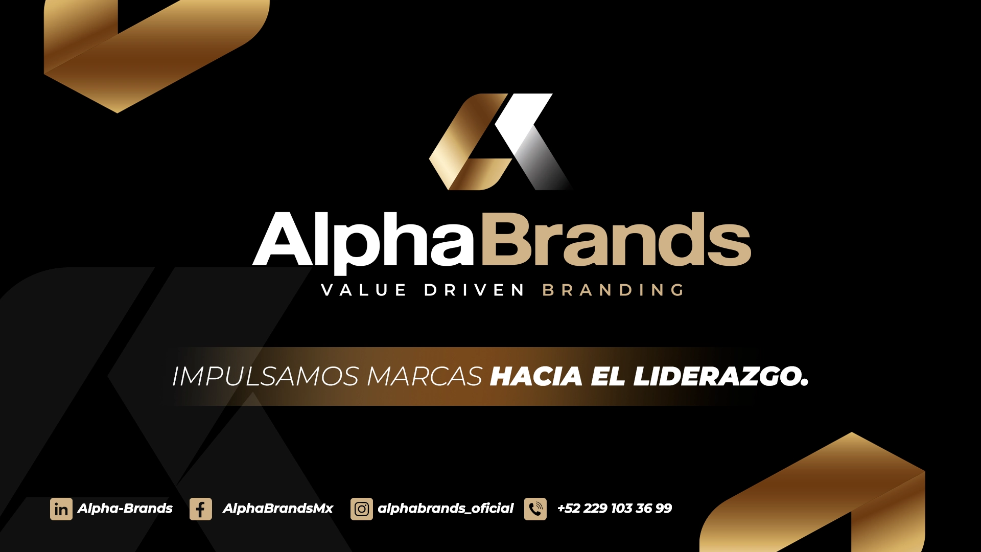 public/img/Archivo actual 3.png