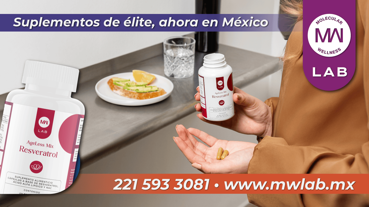 public/img/Archivo actual 7.png