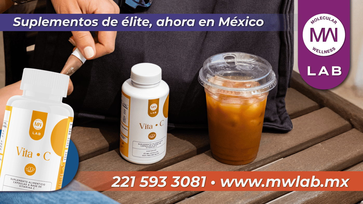 public/img/Archivo actual 8.png